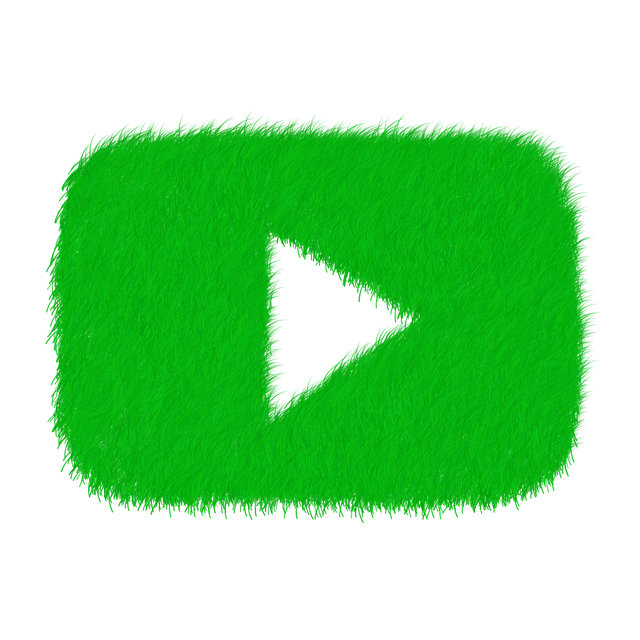 Power of YouTube: Addressing Societal Challenges Through Content and Community