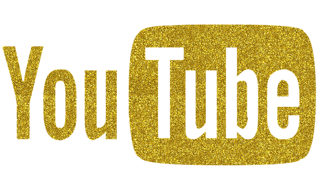 Navigating the YouTube Creator Landscape: Challenges and Opportunities in the Digital Age