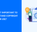 Understanding Fair Use: What It Is, What It’s Not, and Why It Matters