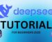 How to Use DeepSeek: A Beginner-Friendly Guide (2025)