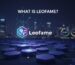 Leofame Tutorial: Tips for New Users - 2025