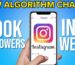 How to Get Organic Instagram Likes for Free: A Complete Guide