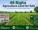 48 Bigha Agriculture Land for Sale Near Durgapur | Best Farmland Investment Opportunity in West Bengal - 2026